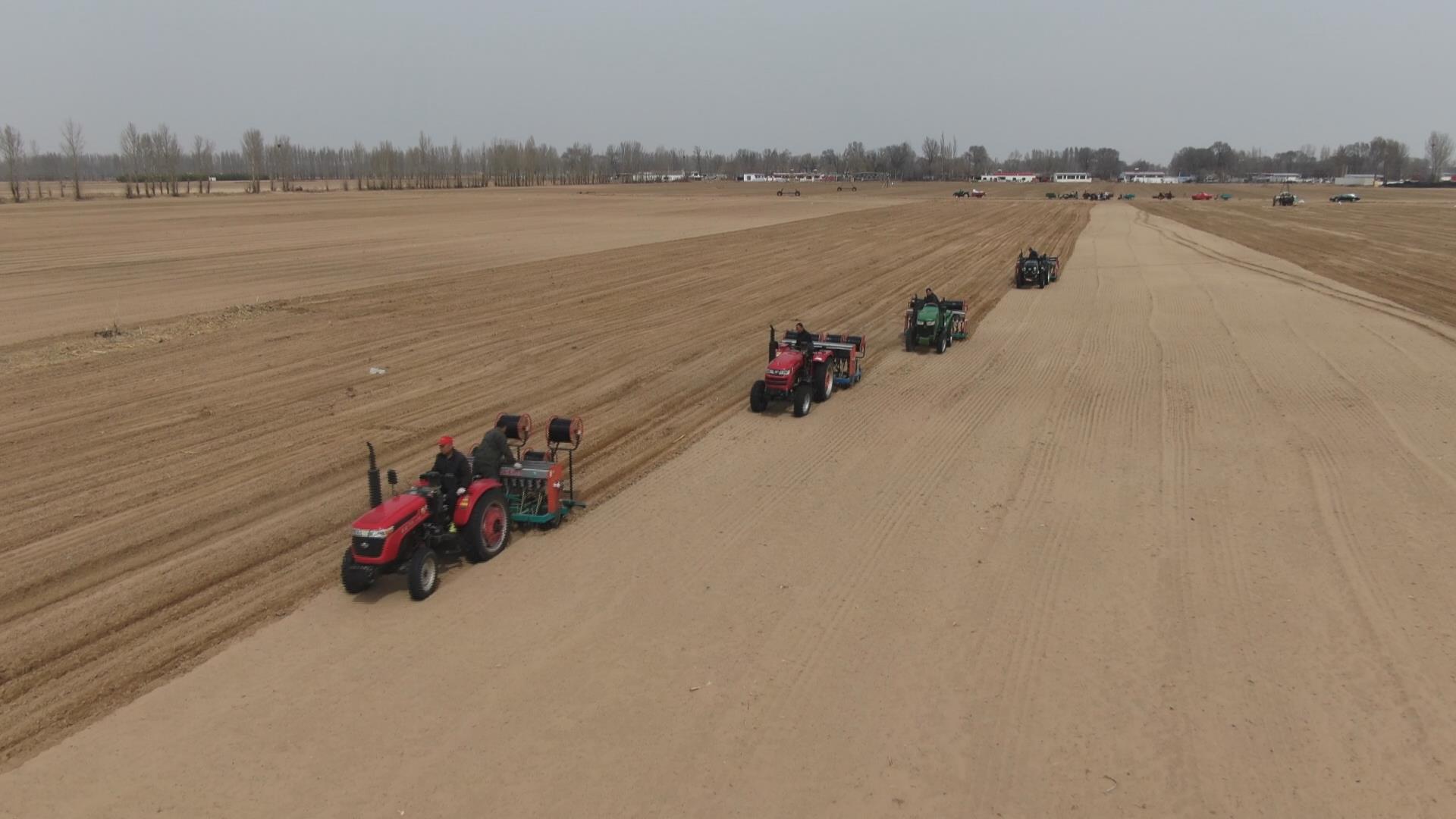 1685521541193227.jpg 达拉特旗:春耕正当时 小麦播种忙.jpg