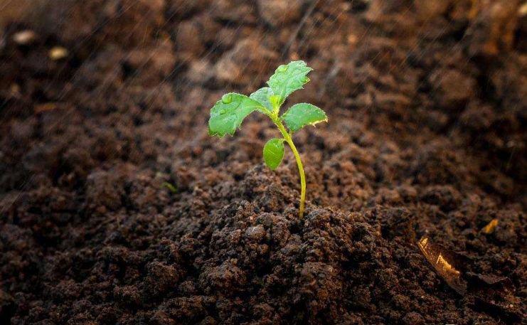 1687167810397282.jpg 二条配图0.jpg