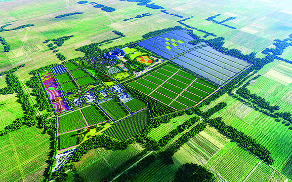 1701049804550306.jpg 1.2.jpg