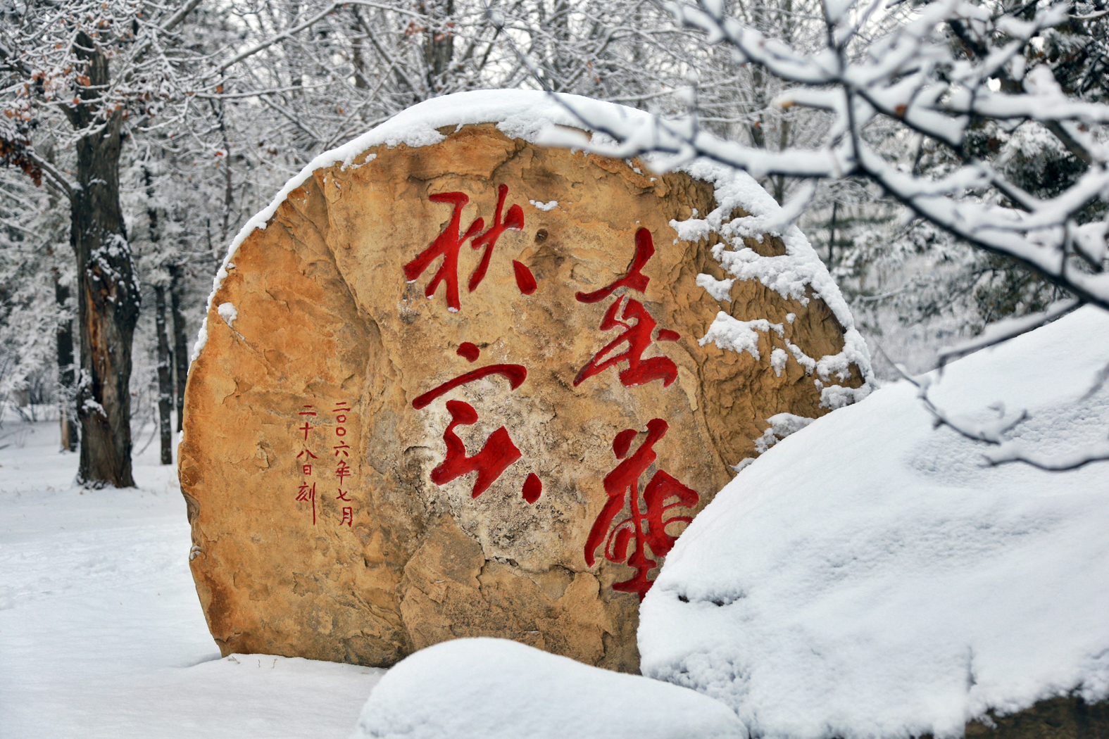 雪中即景.jpg
