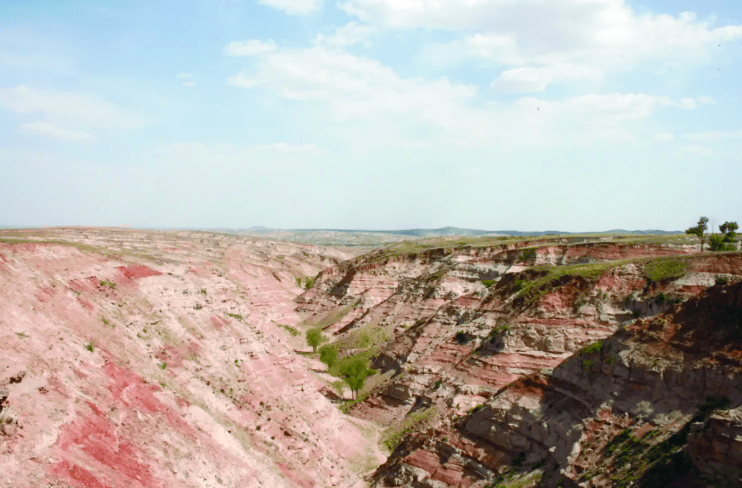 1703467187540384.jpg 梁外.jpg