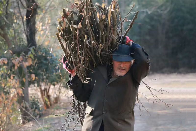 1711617536289877.jpg 微信图片_20240314103250.jpg