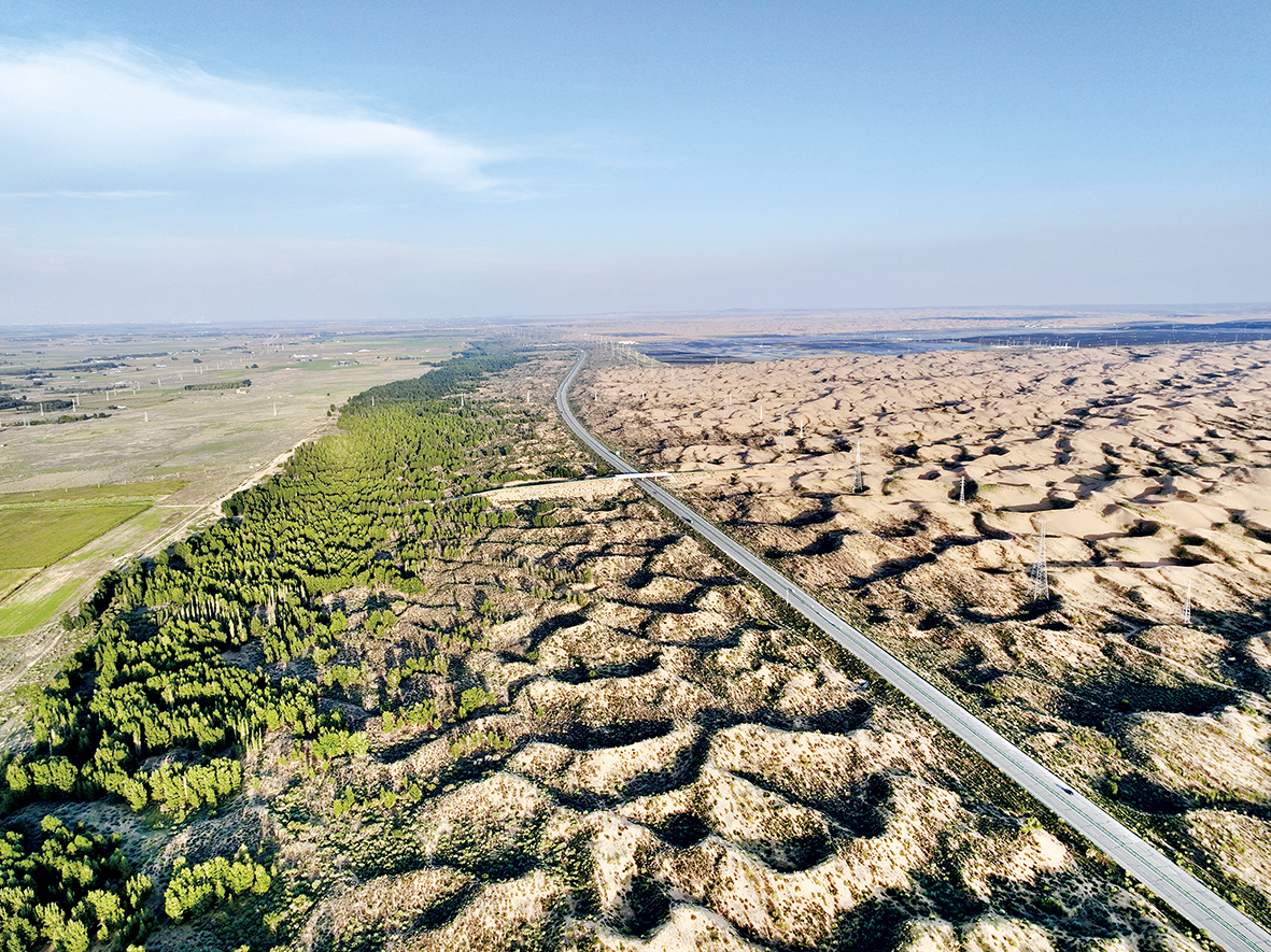 1736474751142752.jpg 黄河“几字弯”里的美丽蝶变.jpg