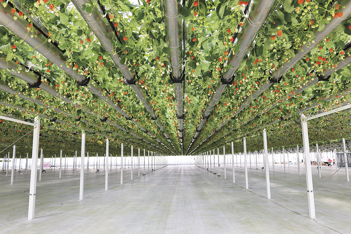 1736475196218991.jpg 3.jpg