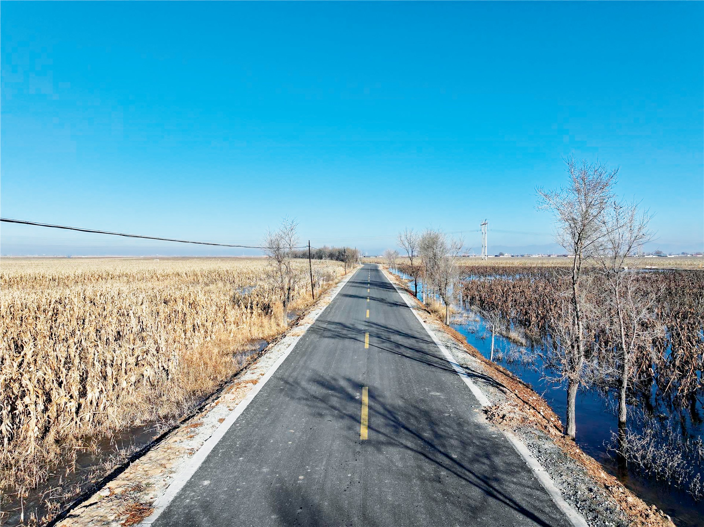 1737430465133675.jpg 一版.jpg