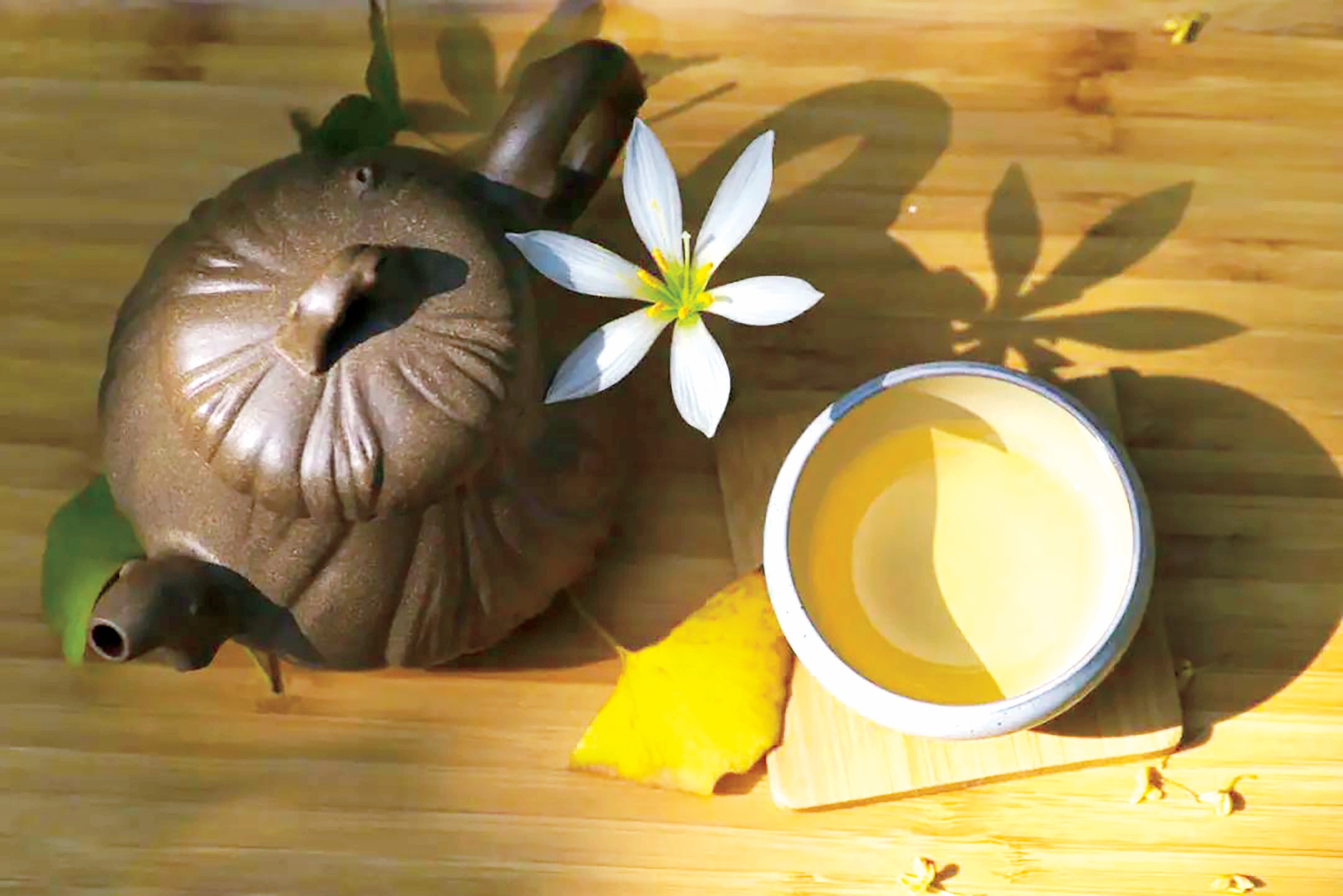 1737430869787687.jpg 冬天里的小日子.jpg