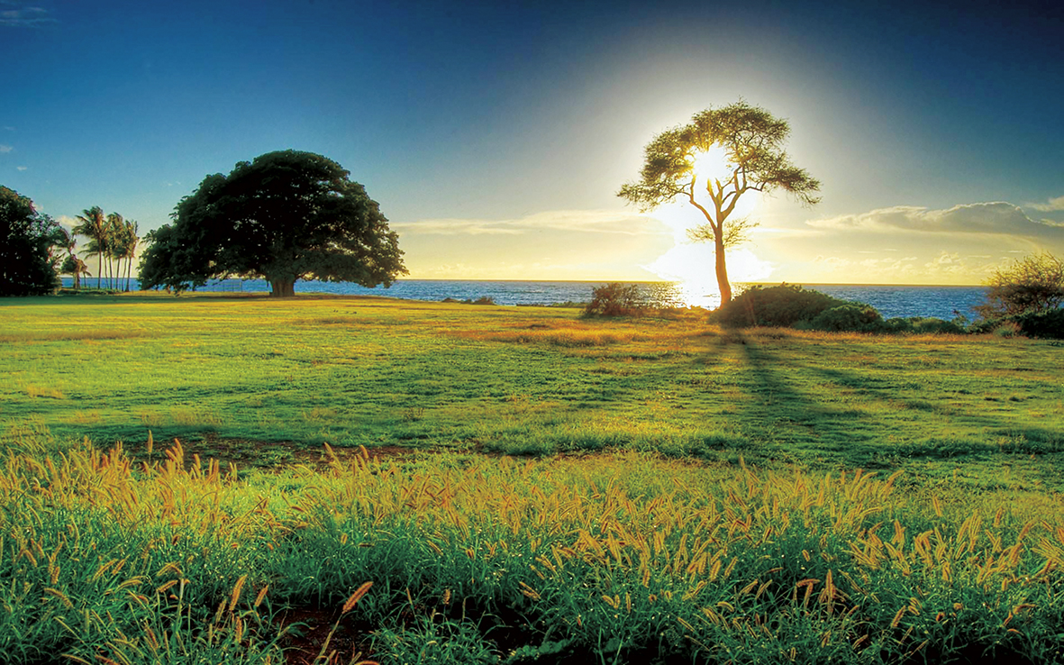 1737600449711631.jpg 我喜欢拥有一片原野配图.jpg