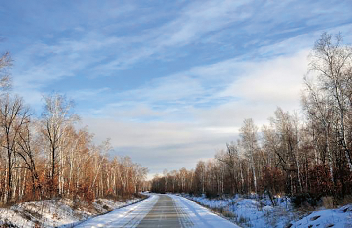 1737619415146608.jpg 冬天回乡的记忆配图.jpg