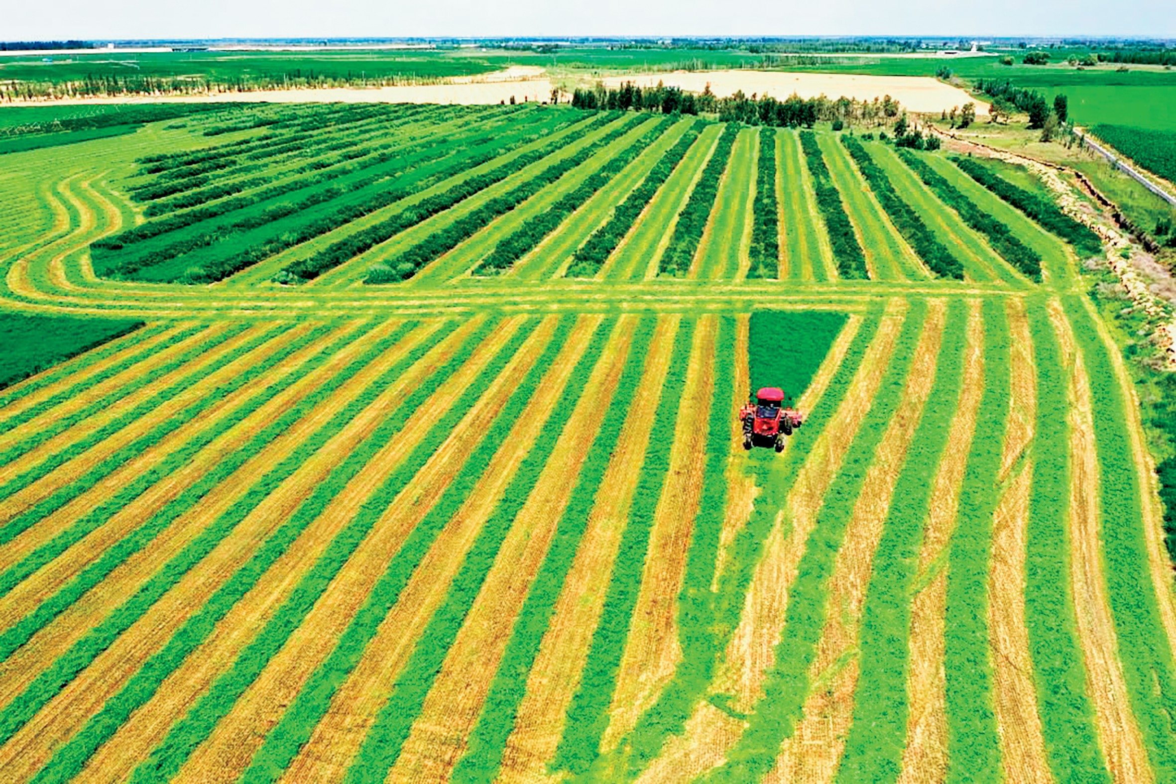 1739500643348913.jpg 3.1.jpg