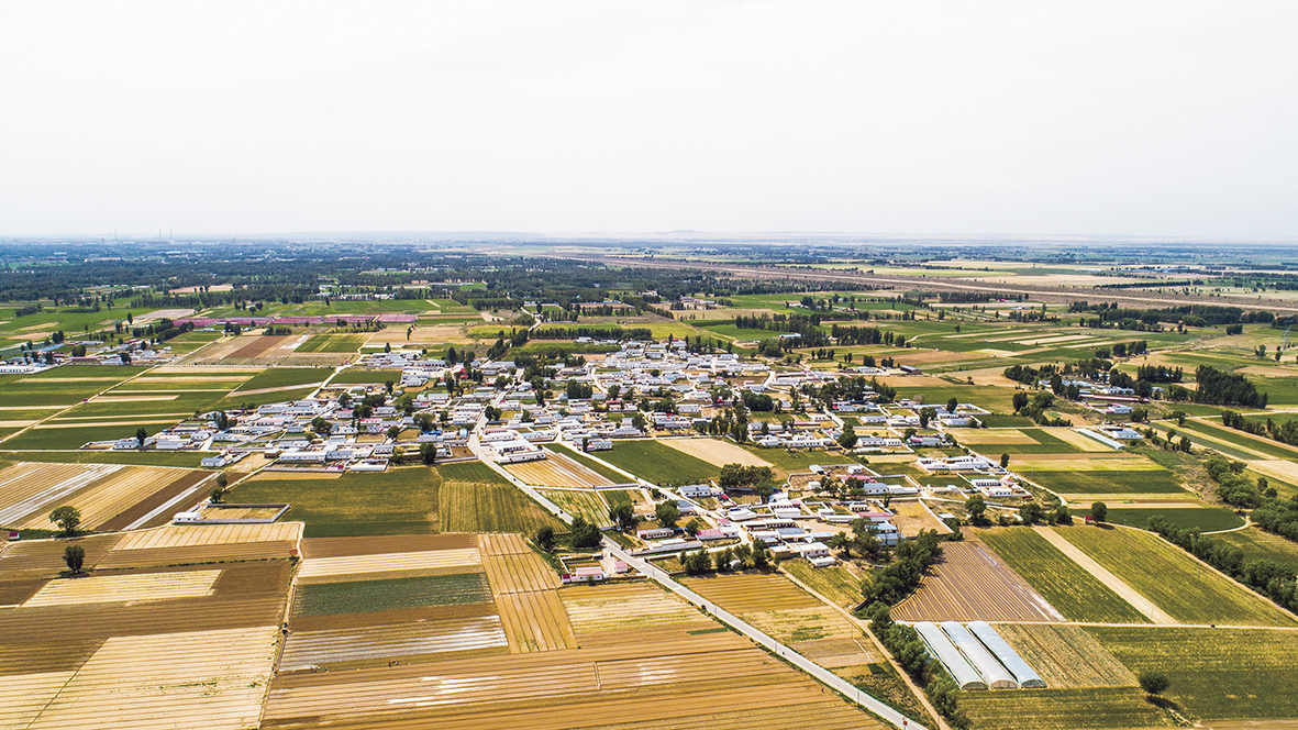 1742455850325802.jpg 1.jpg