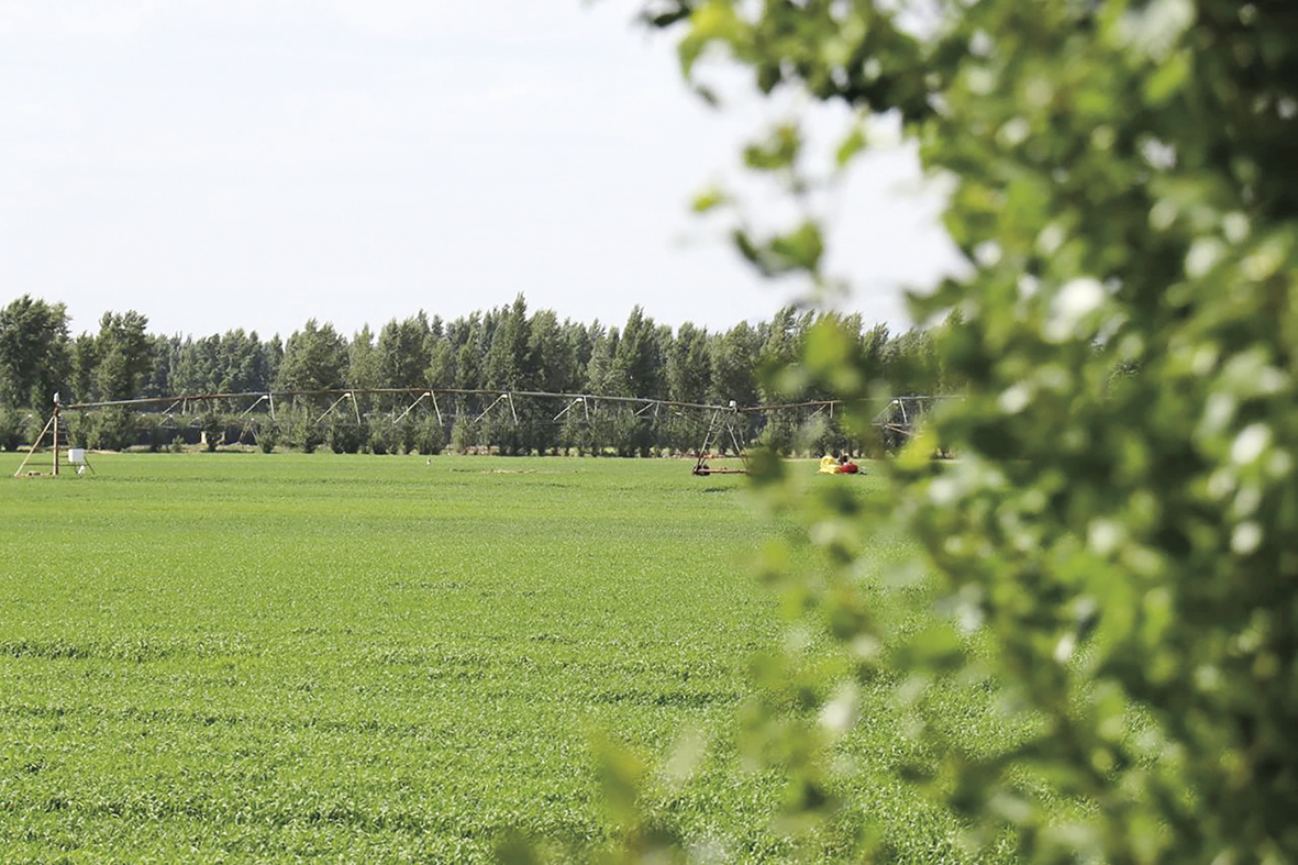 1742890022269866.jpg 配图.jpg