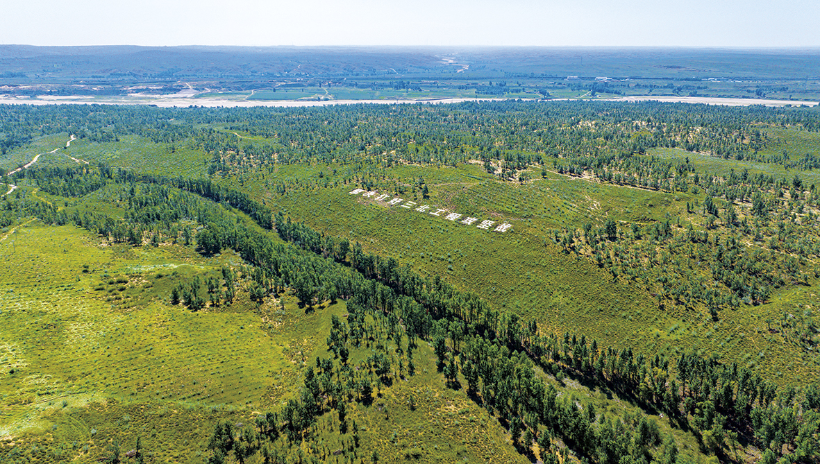 1747035253328204.jpg 绿色号角嘹亮吹响!达拉特旗全力推进“三北”工程生态建设.jpg