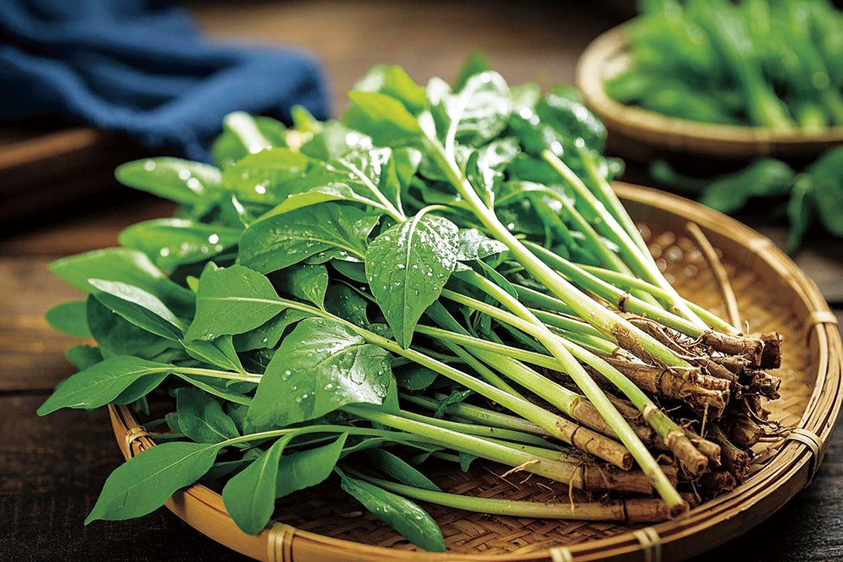 1747191637134192.jpg 春来野菜香配图1.jpg