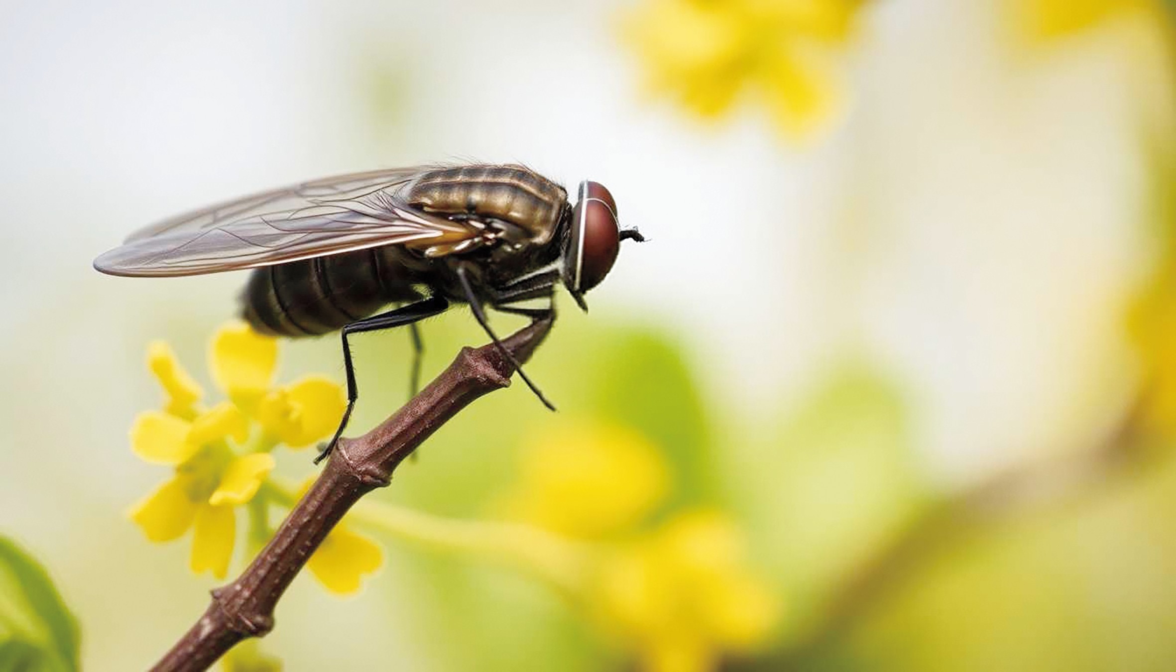 1753865990466561.jpg 蝉蜕里的时光.jpg