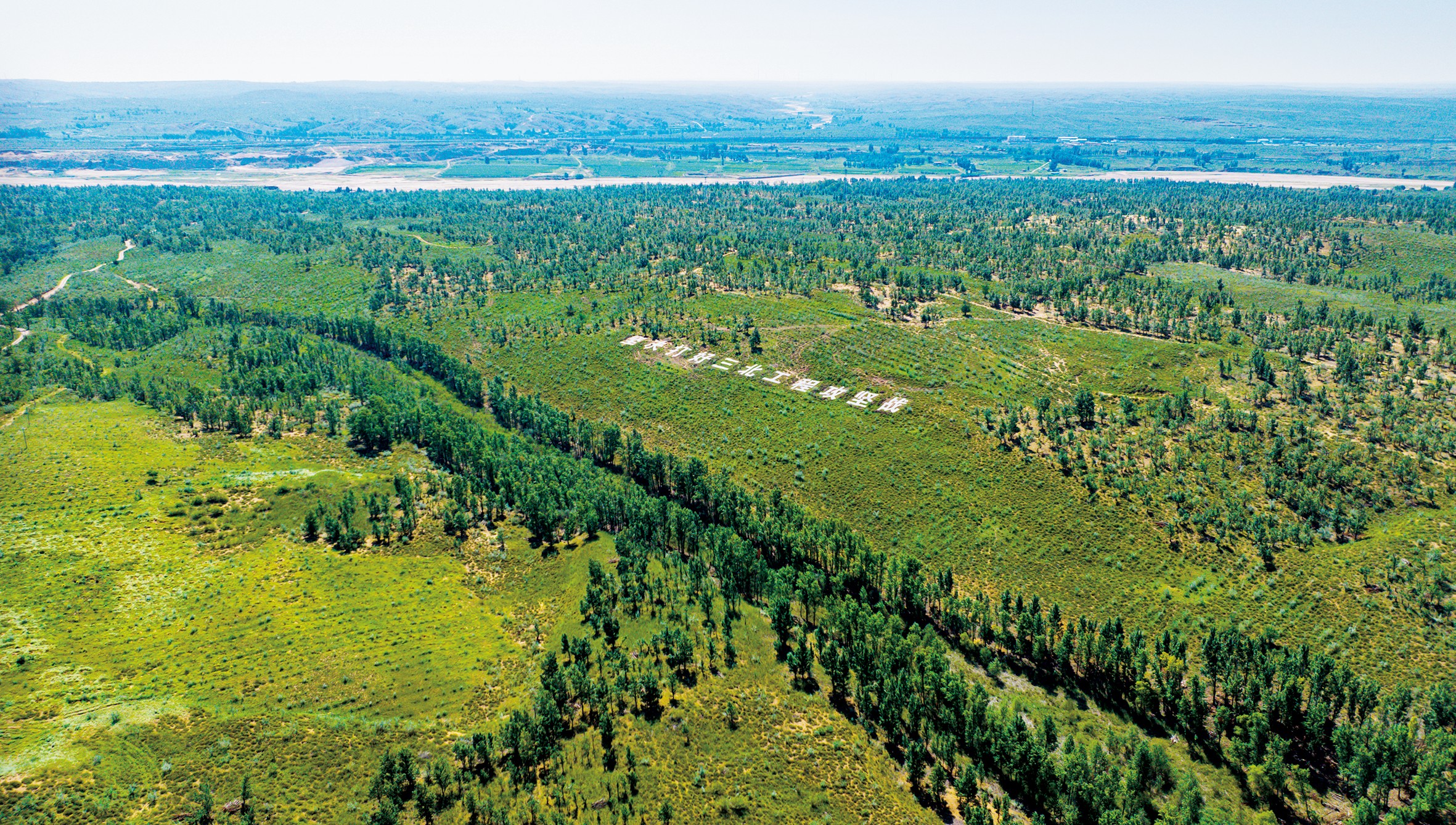 1753927515120154.jpg 长河奔涌,鄂尔多斯染绿“几字弯”.jpg