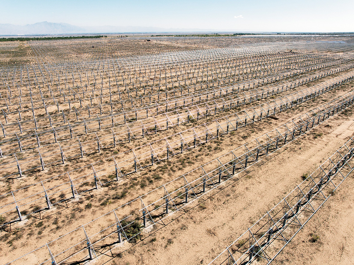 1753928991197875.jpg 达拉特旗:加速推进防沙治沙工作 持续延伸生态绿线.jpg