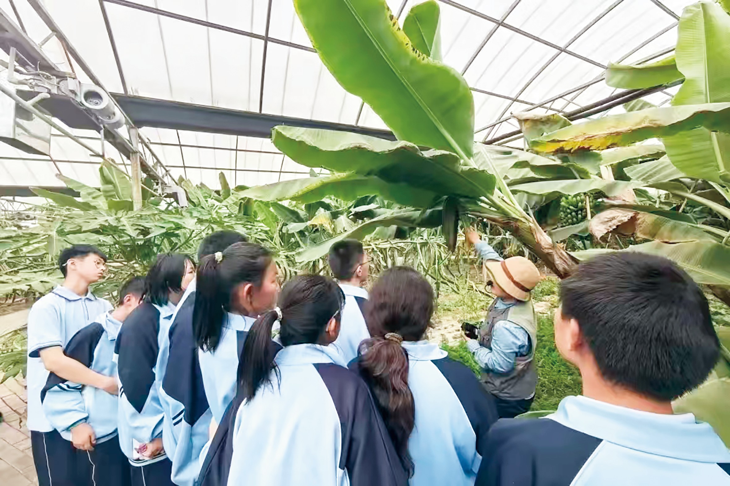 1753929195987484.jpg ce9aead0b44839ccdd13539a9190dca.jpg