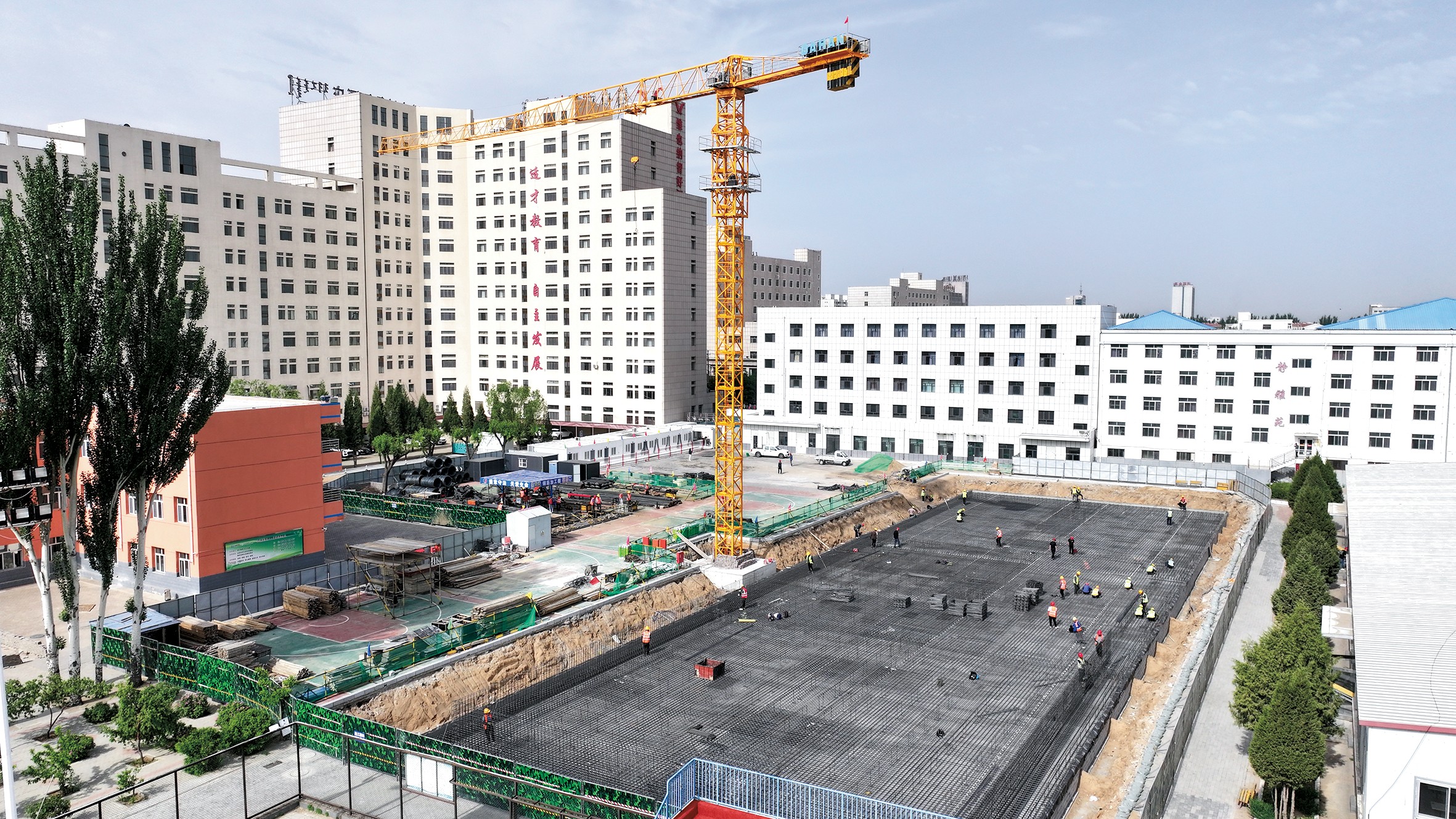 1753930557609217.jpg 2.1.jpg