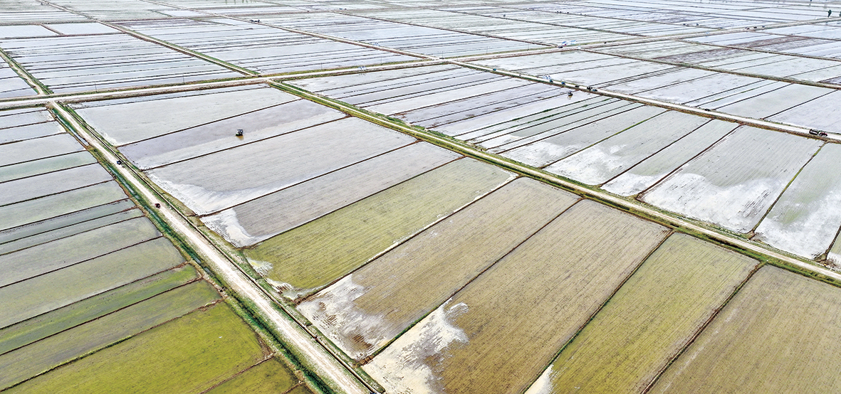 2.1 王耀宗 摄.jpg