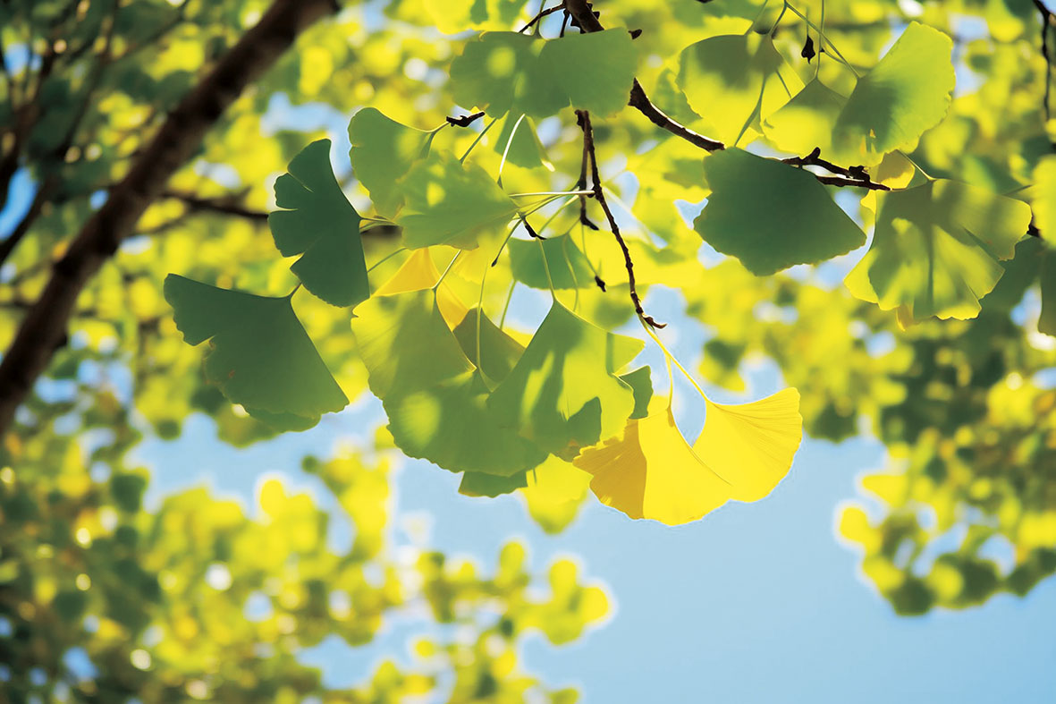 1755829895306709.jpg 秋已至,惜此时.jpg