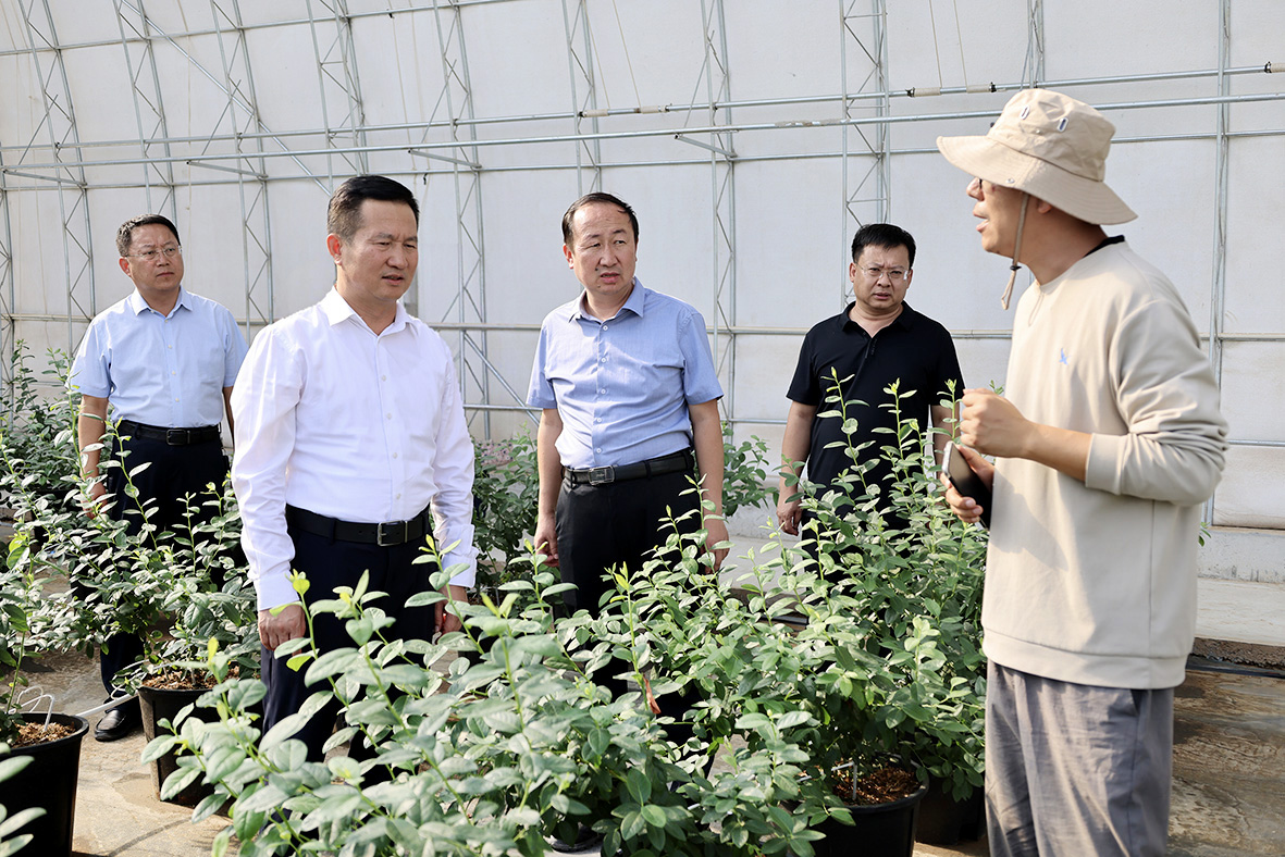 1757037545632019.jpg 王小平到恩格贝生态示范区调研.jpg