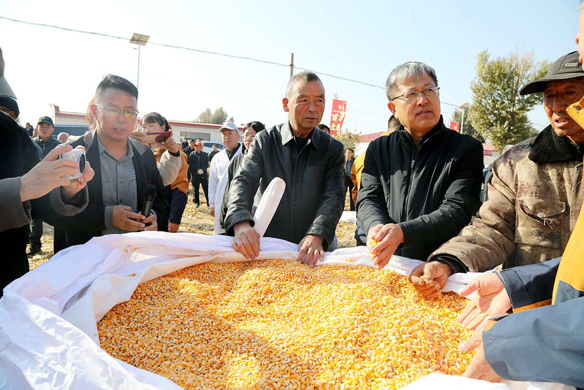 1761894666144254.jpg 1.3.jpg