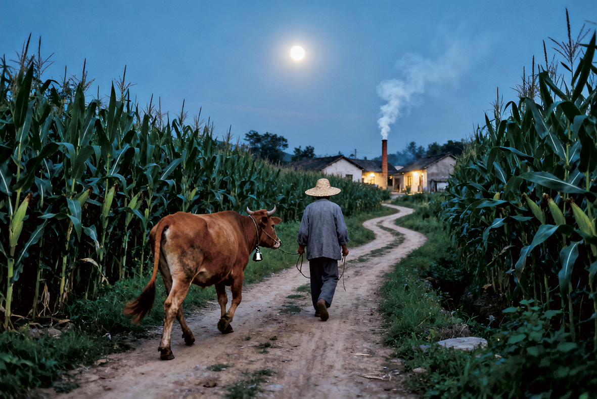 1763689919211614.jpg 故乡的月光.jpg